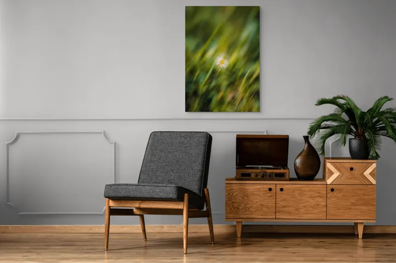 Tablou Canvas, "Margareta dansând în vântul verii", Floare, Singurătate, Verdeață, Estompare, Frumusețe, Natură, Seninătate, Simplitate, Culoare, Delicatețe, 70 x 100 cm – poza 6