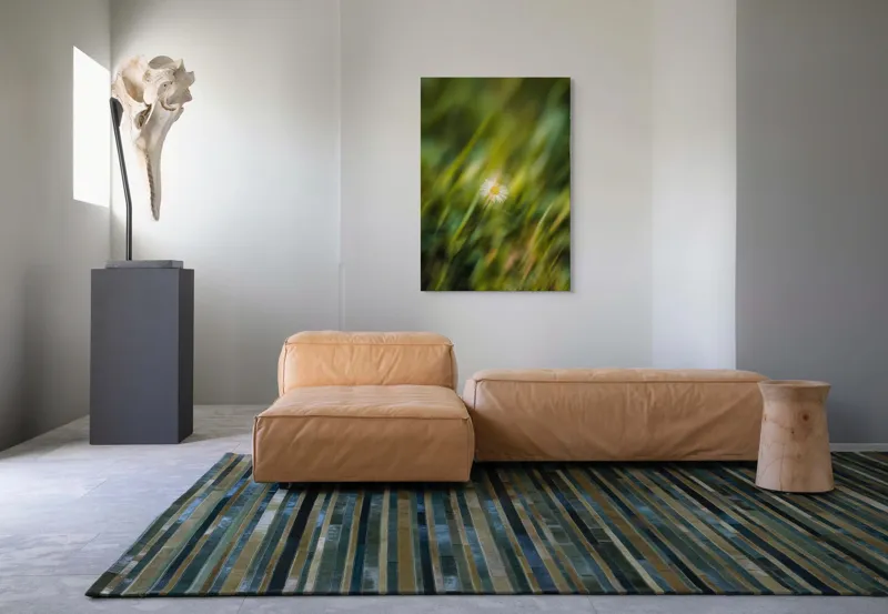 Tablou Canvas, "Margareta dansând în vântul verii", Floare, Singurătate, Verdeață, Estompare, Frumusețe, Natură, Seninătate, Simplitate, Culoare, Delicatețe, 70 x 100 cm – poza 7