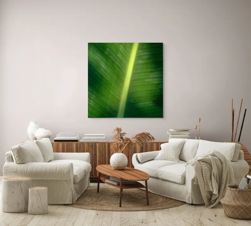 Tablou Canvas, "Frunza luminată de soare blând", Verde, Lumină, Textură, Natură, Nervuri, Frunză, Strălucire, Vitalitate, 100 x 100 cm – poza 3