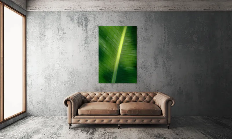 Tablou Canvas, "Frunza luminată de soare blând", Verde, Lumină, Textură, Natură, Nervuri, Frunză, Strălucire, Vitalitate, 100 x 150 cm – poza 6