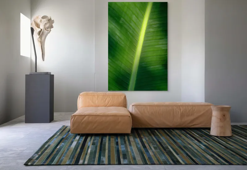 Tablou Canvas, "Frunza luminată de soare blând", Verde, Lumină, Textură, Natură, Nervuri, Frunză, Strălucire, Vitalitate, 100 x 150 cm – poza 7