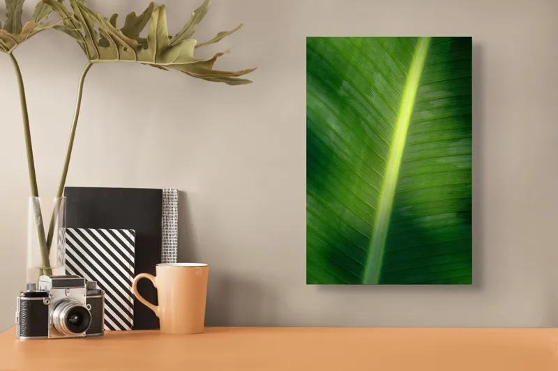 Tablou Canvas, "Frunza luminată de soare blând", Verde, Lumină, Textură, Natură, Nervuri, Frunză, Strălucire, Vitalitate, 26 x 39 cm – poza 3