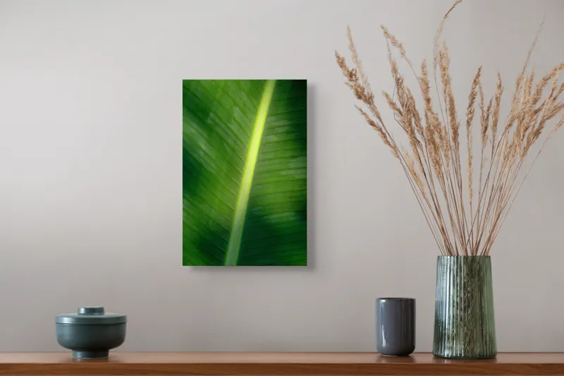Tablou Canvas, "Frunza luminată de soare blând", Verde, Lumină, Textură, Natură, Nervuri, Frunză, Strălucire, Vitalitate, 26 x 39 cm – poza 5
