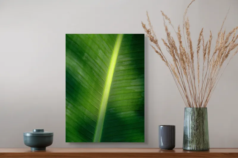 Tablou Canvas, "Frunza luminată de soare blând", Verde, Lumină, Textură, Natură, Nervuri, Frunză, Strălucire, Vitalitate, 39 x 54 cm – poza 3