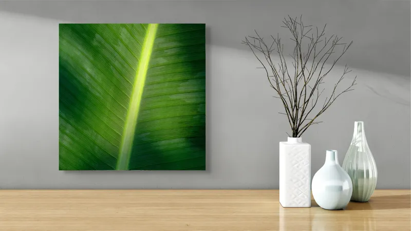 Tablou Canvas, "Frunza luminată de soare blând", Verde, Lumină, Textură, Natură, Nervuri, Frunză, Strălucire, Vitalitate, 50 x 50 cm – poza 3
