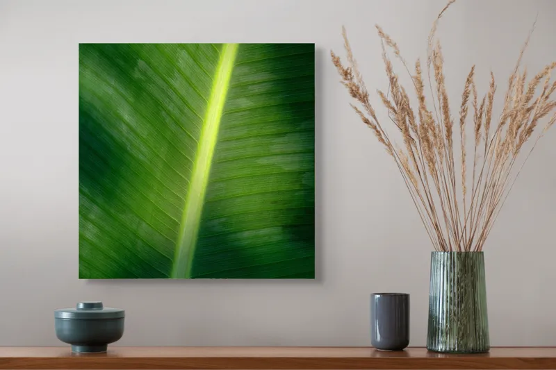 Tablou Canvas, "Frunza luminată de soare blând", Verde, Lumină, Textură, Natură, Nervuri, Frunză, Strălucire, Vitalitate, 50 x 50 cm – poza 4