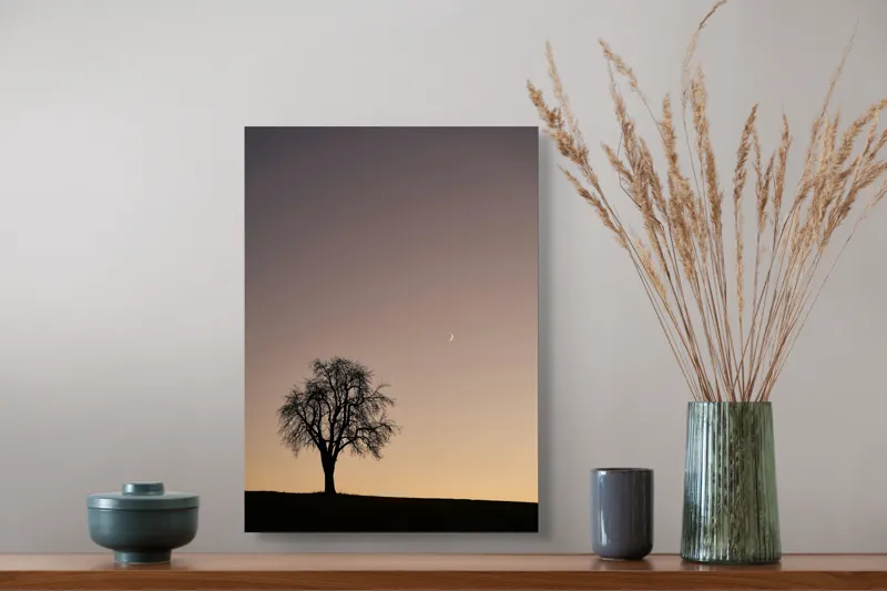 Tablou Canvas, "Luna și copacul singuratic", Copac, Asfințit, Siluetă, Cer, Semilună, Peisaj, Liniște, Seară, 39 x 54 cm – poza 3