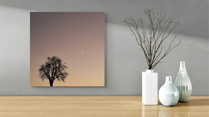 Tablou Canvas, "Luna și copacul singuratic", Copac, Asfințit, Siluetă, Cer, Semilună, Peisaj, Liniște, Seară, 50 x 50 cm – poza 3