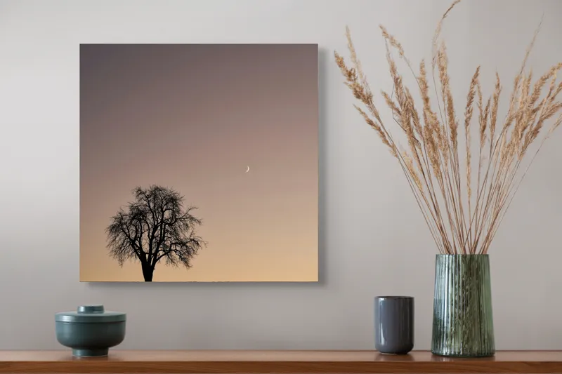 Tablou Canvas, "Luna și copacul singuratic", Copac, Asfințit, Siluetă, Cer, Semilună, Peisaj, Liniște, Seară, 50 x 50 cm – poza 4