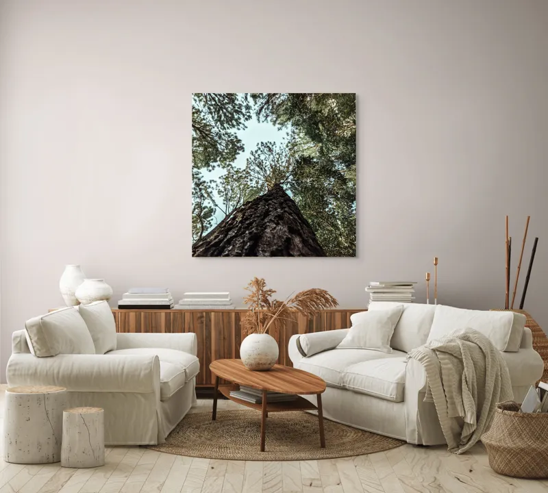 Tablou Canvas, "Privind spre cer prin pădurea înaltă", Arbore, Tulpină, Cer, Frunziș, Natură, Verde, Pădure, Perspectivă, Înălțime, Vegetație, 100 x 100 cm – poza 3
