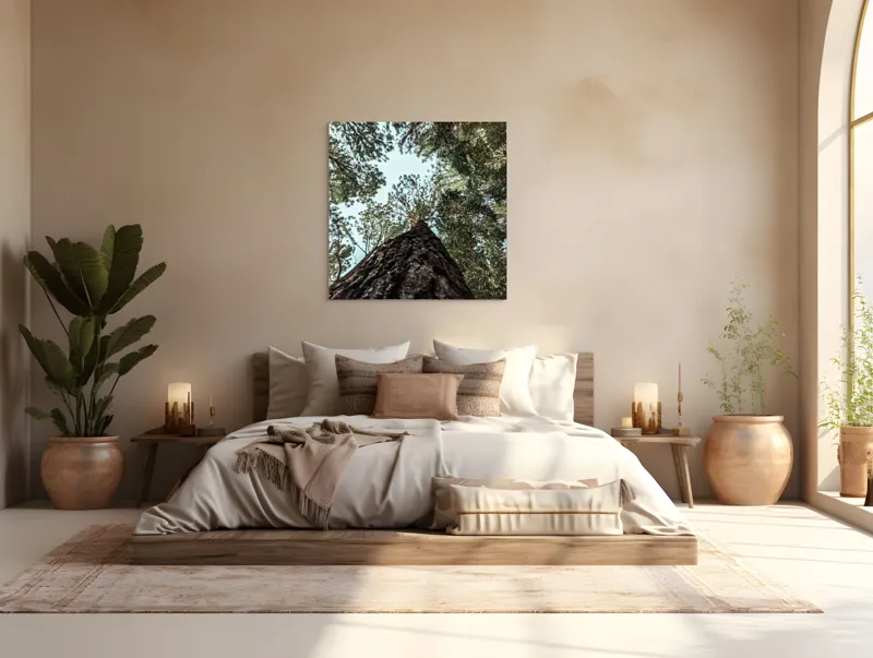Tablou Canvas, "Privind spre cer prin pădurea înaltă", Arbore, Tulpină, Cer, Frunziș, Natură, Verde, Pădure, Perspectivă, Înălțime, Vegetație, 100 x 100 cm – poza 4