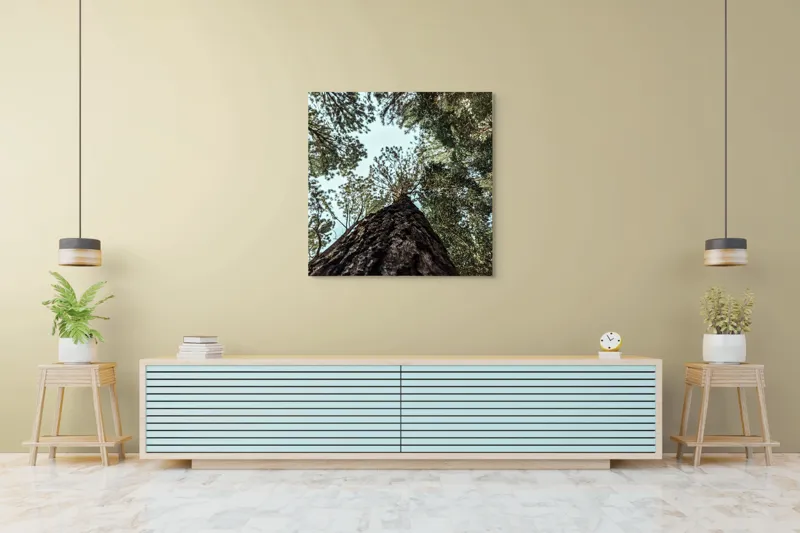 Tablou Canvas, "Privind spre cer prin pădurea înaltă", Arbore, Tulpină, Cer, Frunziș, Natură, Verde, Pădure, Perspectivă, Înălțime, Vegetație, 100 x 100 cm – poza 5
