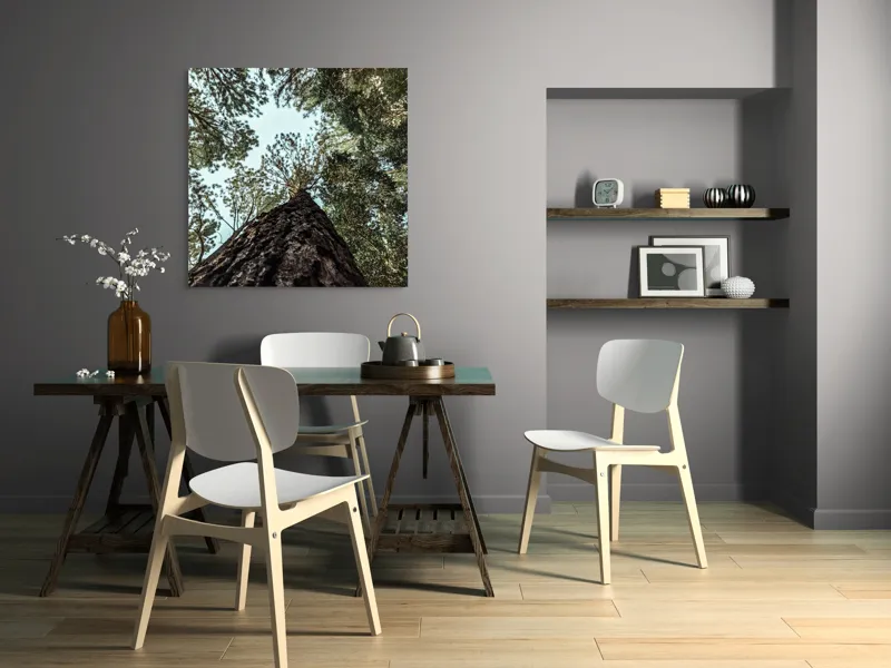 Tablou Canvas, "Privind spre cer prin pădurea înaltă", Arbore, Tulpină, Cer, Frunziș, Natură, Verde, Pădure, Perspectivă, Înălțime, Vegetație, 100 x 100 cm – poza 6