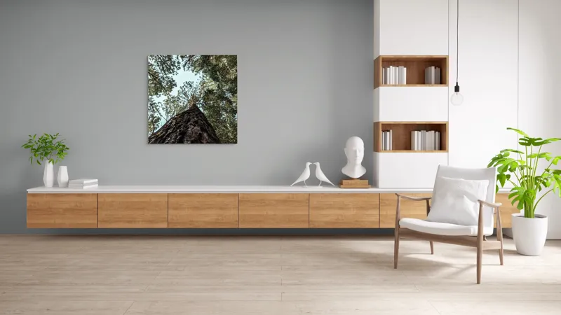 Tablou Canvas, "Privind spre cer prin pădurea înaltă", Arbore, Tulpină, Cer, Frunziș, Natură, Verde, Pădure, Perspectivă, Înălțime, Vegetație, 100 x 100 cm – poza 8