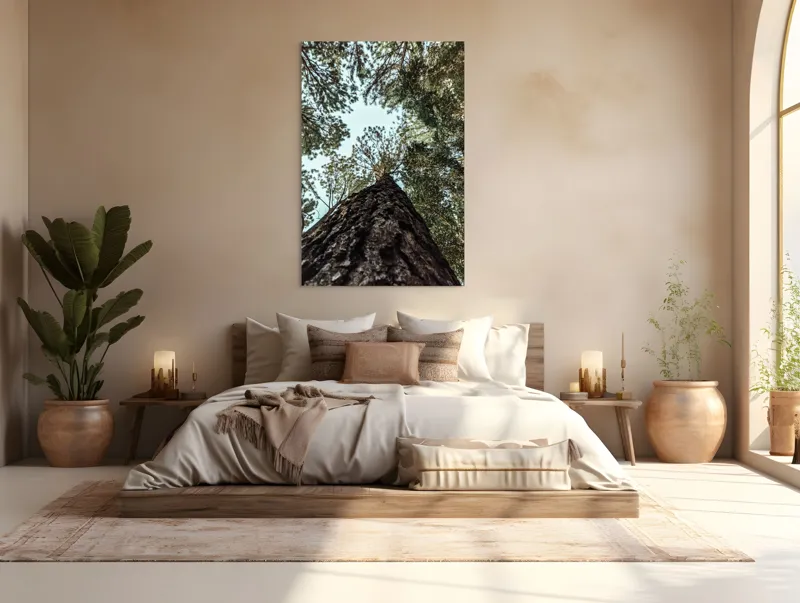 Tablou Canvas, "Privind spre cer prin pădurea înaltă", Arbore, Tulpină, Cer, Frunziș, Natură, Verde, Pădure, Perspectivă, Înălțime, Vegetație, 100 x 150 cm – poza 3