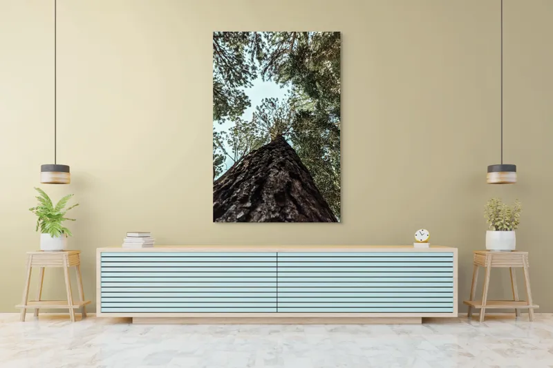 Tablou Canvas, "Privind spre cer prin pădurea înaltă", Arbore, Tulpină, Cer, Frunziș, Natură, Verde, Pădure, Perspectivă, Înălțime, Vegetație, 100 x 150 cm – poza 4