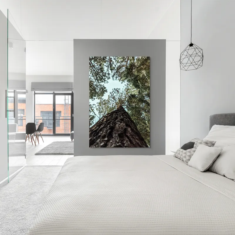 Tablou Canvas, "Privind spre cer prin pădurea înaltă", Arbore, Tulpină, Cer, Frunziș, Natură, Verde, Pădure, Perspectivă, Înălțime, Vegetație, 100 x 150 cm – poza 5
