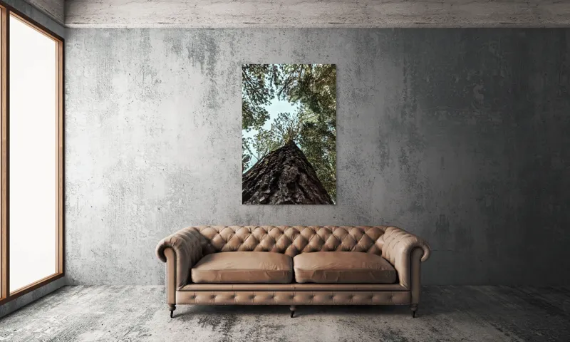 Tablou Canvas, "Privind spre cer prin pădurea înaltă", Arbore, Tulpină, Cer, Frunziș, Natură, Verde, Pădure, Perspectivă, Înălțime, Vegetație, 100 x 150 cm – poza 6