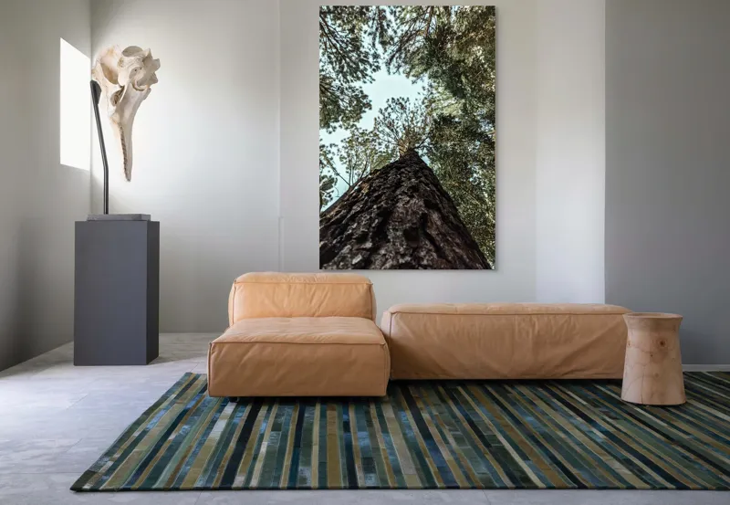 Tablou Canvas, "Privind spre cer prin pădurea înaltă", Arbore, Tulpină, Cer, Frunziș, Natură, Verde, Pădure, Perspectivă, Înălțime, Vegetație, 100 x 150 cm – poza 7