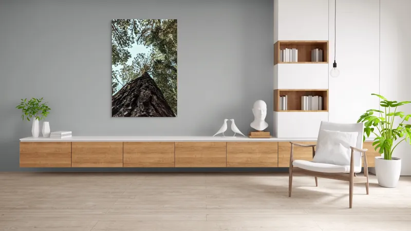 Tablou Canvas, "Privind spre cer prin pădurea înaltă", Arbore, Tulpină, Cer, Frunziș, Natură, Verde, Pădure, Perspectivă, Înălțime, Vegetație, 100 x 150 cm – poza 8