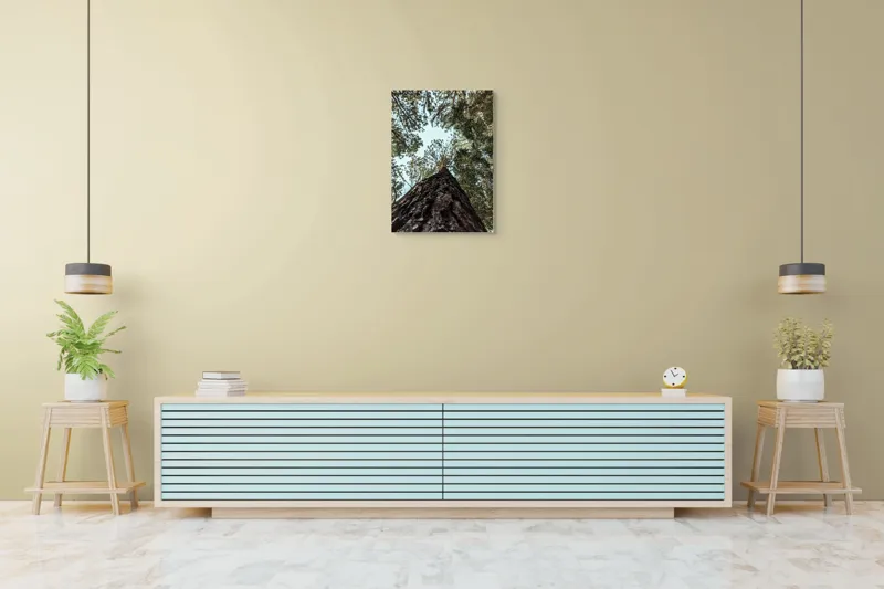 Tablou Canvas, "Privind spre cer prin pădurea înaltă", Arbore, Tulpină, Cer, Frunziș, Natură, Verde, Pădure, Perspectivă, Înălțime, Vegetație, 50 x 70 cm – poza 6