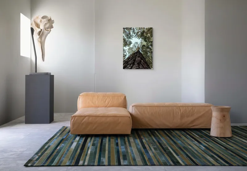 Tablou Canvas, "Privind spre cer prin pădurea înaltă", Arbore, Tulpină, Cer, Frunziș, Natură, Verde, Pădure, Perspectivă, Înălțime, Vegetație, 50 x 70 cm – poza 7