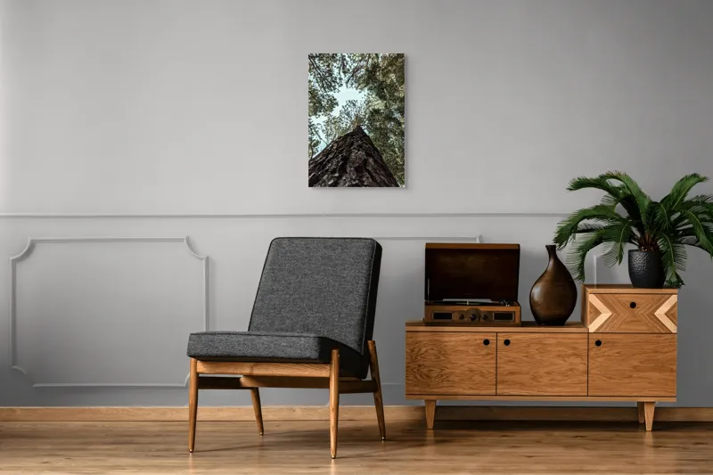 Tablou Canvas, "Privind spre cer prin pădurea înaltă", Arbore, Tulpină, Cer, Frunziș, Natură, Verde, Pădure, Perspectivă, Înălțime, Vegetație, 50 x 70 cm – poza 8