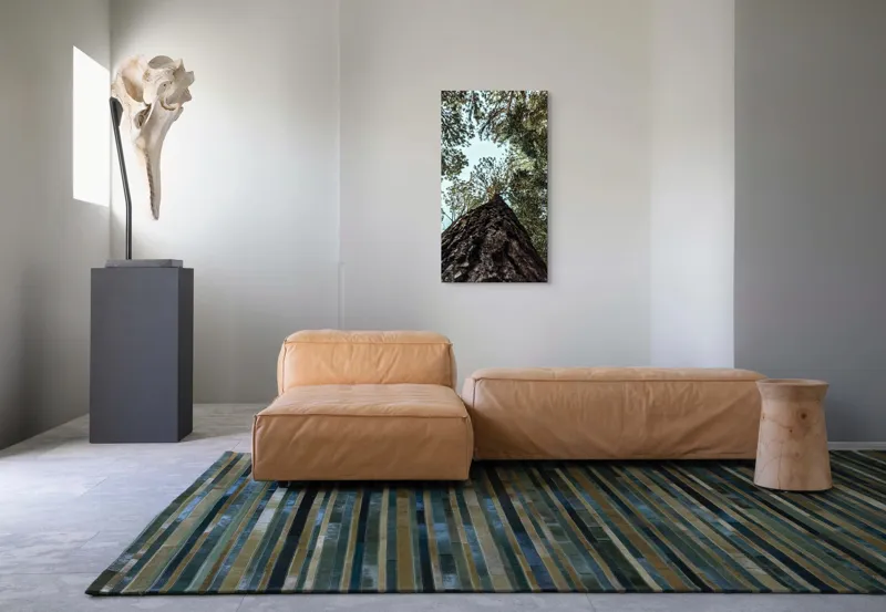 Tablou Canvas, "Privind spre cer prin pădurea înaltă", Arbore, Tulpină, Cer, Frunziș, Natură, Verde, Pădure, Perspectivă, Înălțime, Vegetație, 50 x 90 cm – poza 5