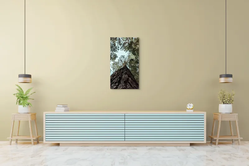 Tablou Canvas, "Privind spre cer prin pădurea înaltă", Arbore, Tulpină, Cer, Frunziș, Natură, Verde, Pădure, Perspectivă, Înălțime, Vegetație, 50 x 90 cm – poza 6