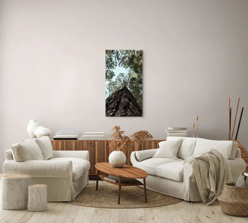 Tablou Canvas, "Privind spre cer prin pădurea înaltă", Arbore, Tulpină, Cer, Frunziș, Natură, Verde, Pădure, Perspectivă, Înălțime, Vegetație, 50 x 90 cm – poza 7