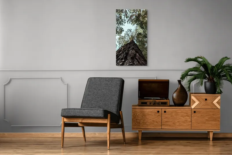 Tablou Canvas, "Privind spre cer prin pădurea înaltă", Arbore, Tulpină, Cer, Frunziș, Natură, Verde, Pădure, Perspectivă, Înălțime, Vegetație, 50 x 90 cm – poza 8