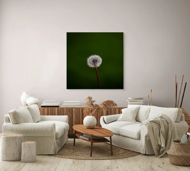 Tablou Canvas, "Puf de păpădie în bătaia vântului", Pufoasă, Delicată, Fragilă, Etereală, Simplă, Solitară, Contrastantă, Mică, 100 x 100 cm – poza 3