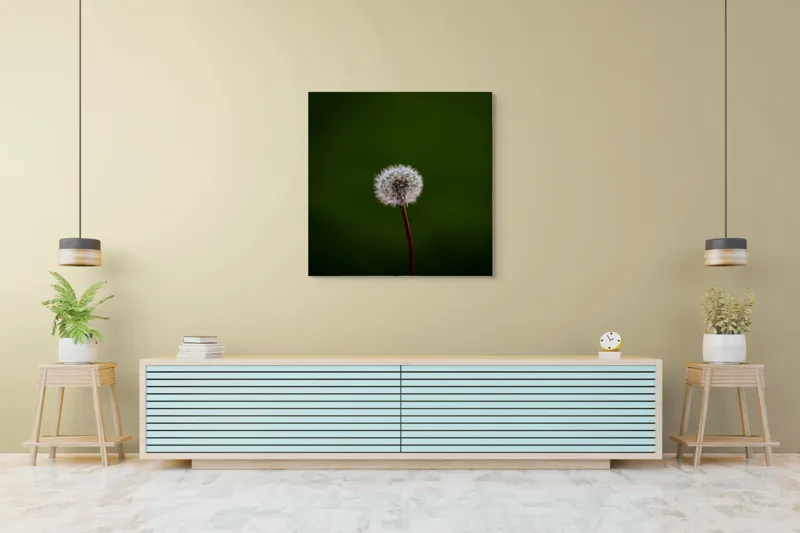 Tablou Canvas, "Puf de păpădie în bătaia vântului", Pufoasă, Delicată, Fragilă, Etereală, Simplă, Solitară, Contrastantă, Mică, 100 x 100 cm – poza 5