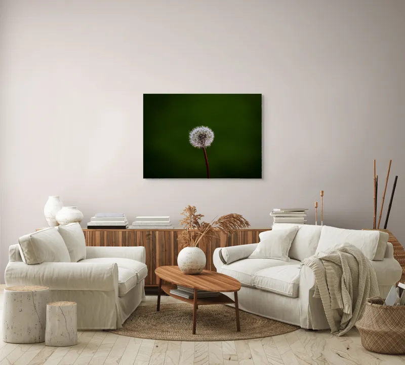 Tablou Canvas, "Puf de păpădie în bătaia vântului", Pufoasă, Delicată, Fragilă, Etereală, Simplă, Solitară, Contrastantă, Mică, 100 x 70 cm – poza 3