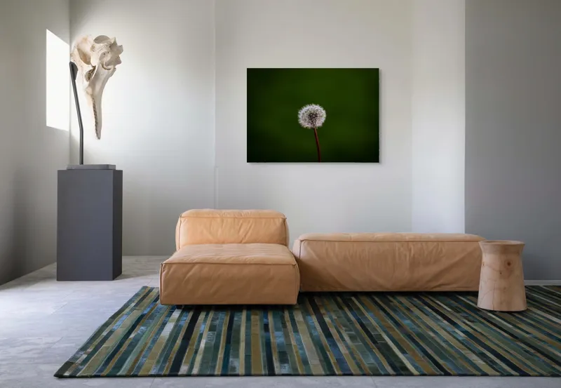 Tablou Canvas, "Puf de păpădie în bătaia vântului", Pufoasă, Delicată, Fragilă, Etereală, Simplă, Solitară, Contrastantă, Mică, 100 x 70 cm – poza 7