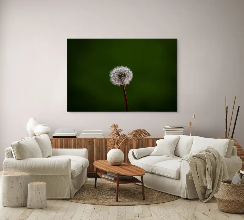 Tablou Canvas, "Puf de păpădie în bătaia vântului", Pufoasă, Delicată, Fragilă, Etereală, Simplă, Solitară, Contrastantă, Mică, 150 x 100 cm – poza 3