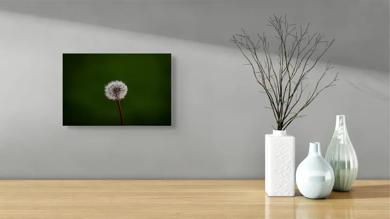 Tablou Canvas, "Puf de păpădie în bătaia vântului", Pufoasă, Delicată, Fragilă, Etereală, Simplă, Solitară, Contrastantă, Mică, 39 x 26 cm – poza 8