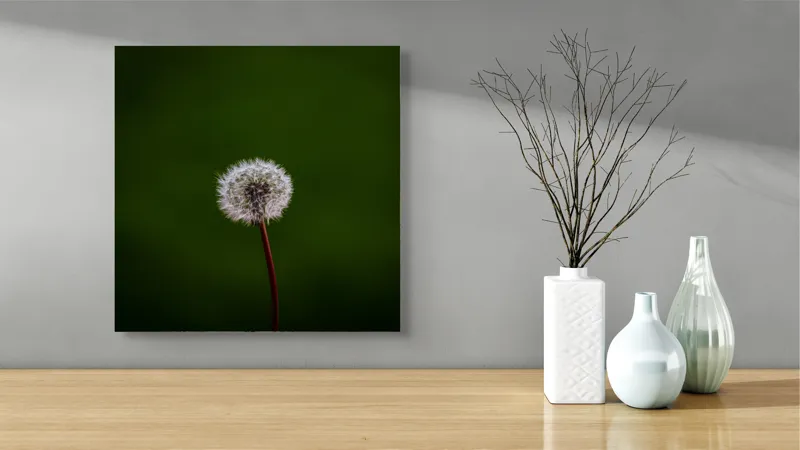 Tablou Canvas, "Puf de păpădie în bătaia vântului", Pufoasă, Delicată, Fragilă, Etereală, Simplă, Solitară, Contrastantă, Mică, 50 x 50 cm – poza 3