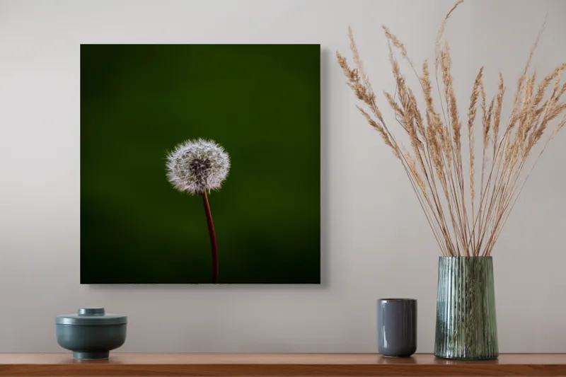 Tablou Canvas, "Puf de păpădie în bătaia vântului", Pufoasă, Delicată, Fragilă, Etereală, Simplă, Solitară, Contrastantă, Mică, 50 x 50 cm – poza 4