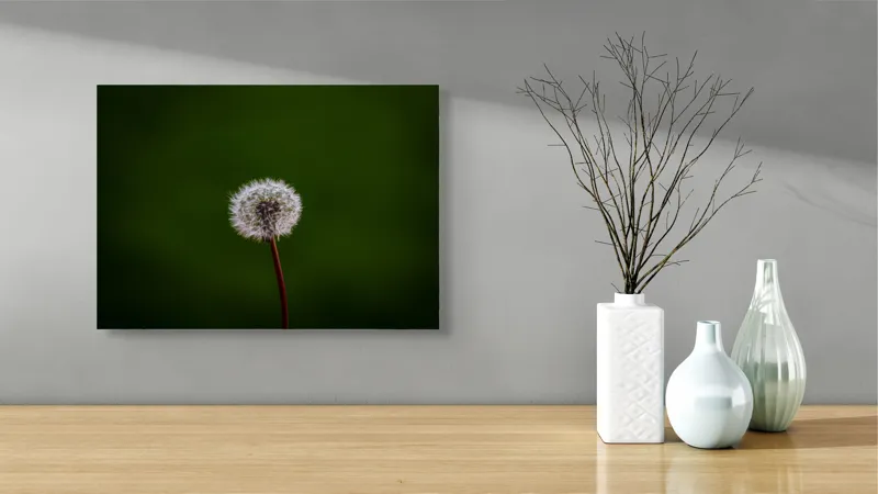 Tablou Canvas, "Puf de păpădie în bătaia vântului", Pufoasă, Delicată, Fragilă, Etereală, Simplă, Solitară, Contrastantă, Mică, 54 x 39 cm – poza 3