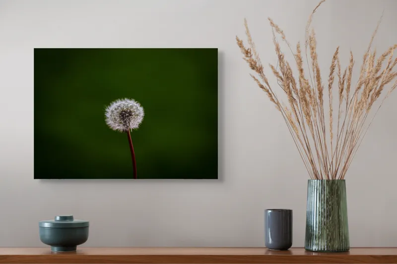 Tablou Canvas, "Puf de păpădie în bătaia vântului", Pufoasă, Delicată, Fragilă, Etereală, Simplă, Solitară, Contrastantă, Mică, 54 x 39 cm – poza 4