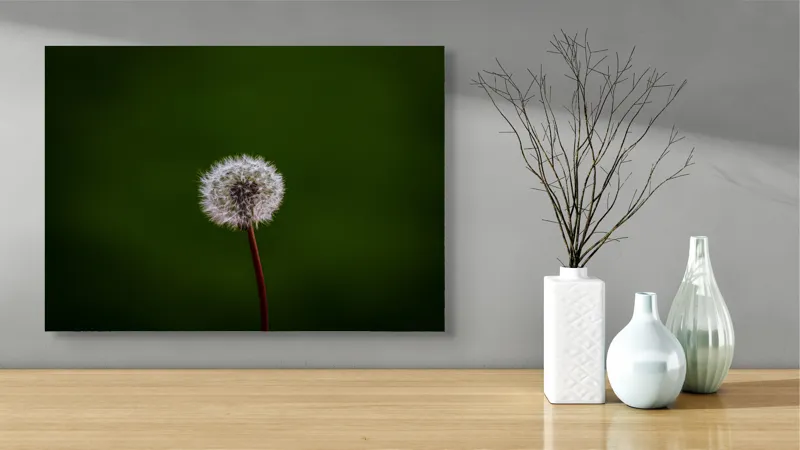 Tablou Canvas, "Puf de păpădie în bătaia vântului", Pufoasă, Delicată, Fragilă, Etereală, Simplă, Solitară, Contrastantă, Mică, 70 x 50 cm – poza 3