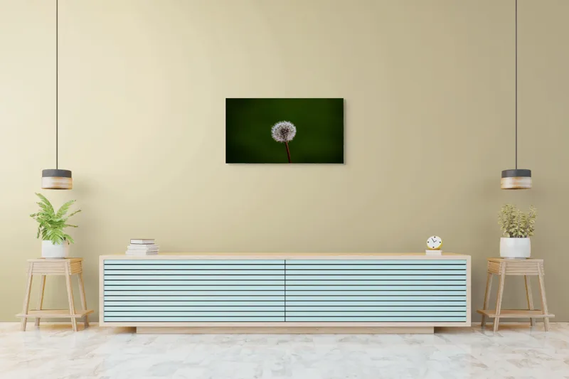 Tablou Canvas, "Puf de păpădie în bătaia vântului", Pufoasă, Delicată, Fragilă, Etereală, Simplă, Solitară, Contrastantă, Mică, 90 x 50 cm – poza 5