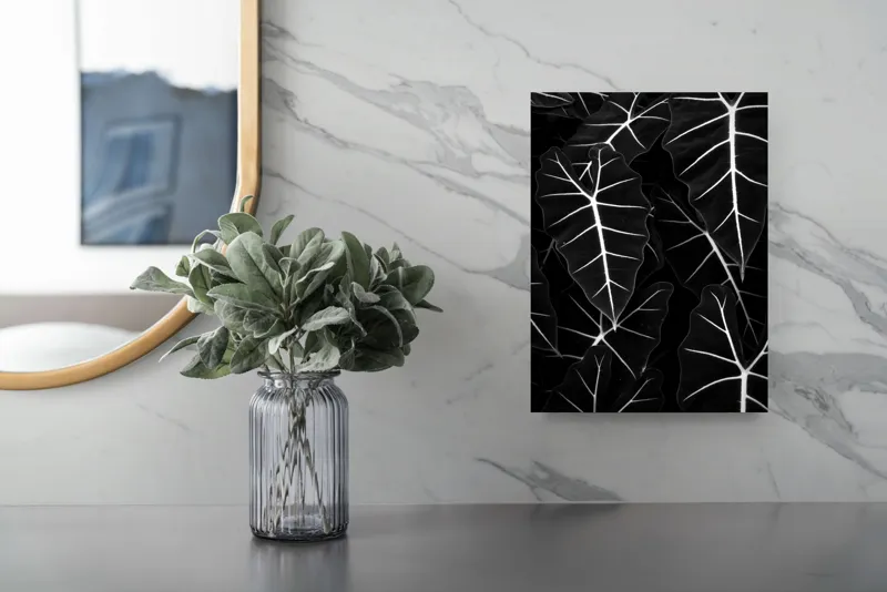 Tablou Canvas, "Frumusețea geometrică a naturii", Frunze, Model, Textura, Contrast, Umbre, Eleganta, Natură, Dungi, Vegetație, Simetrie, 26 x 39 cm – poza 4
