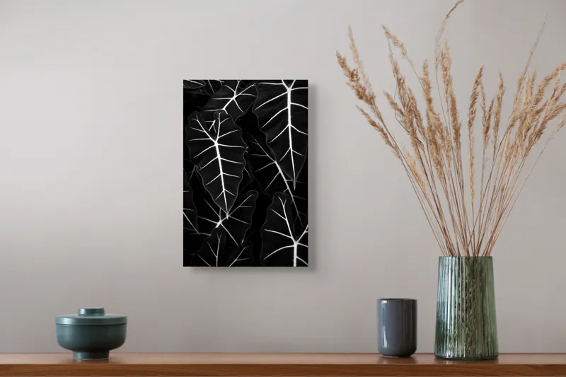 Tablou Canvas, "Frumusețea geometrică a naturii", Frunze, Model, Textura, Contrast, Umbre, Eleganta, Natură, Dungi, Vegetație, Simetrie, 26 x 39 cm – poza 5