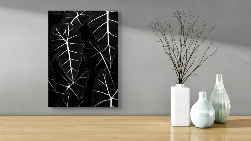 Tablou Canvas, "Frumusețea geometrică a naturii", Frunze, Model, Textura, Contrast, Umbre, Eleganta, Natură, Dungi, Vegetație, Simetrie, 39 x 54 cm – poza 4