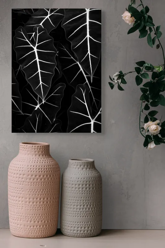 Tablou Canvas, "Frumusețea geometrică a naturii", Frunze, Model, Textura, Contrast, Umbre, Eleganta, Natură, Dungi, Vegetație, Simetrie, 39 x 54 cm – poza 6