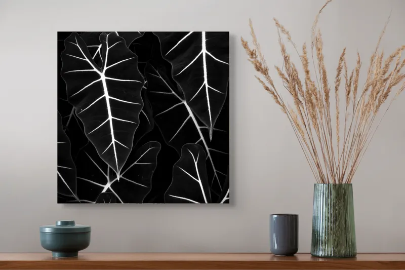 Tablou Canvas, "Frumusețea geometrică a naturii", Frunze, Model, Textura, Contrast, Umbre, Eleganta, Natură, Dungi, Vegetație, Simetrie, 50 x 50 cm – poza 4