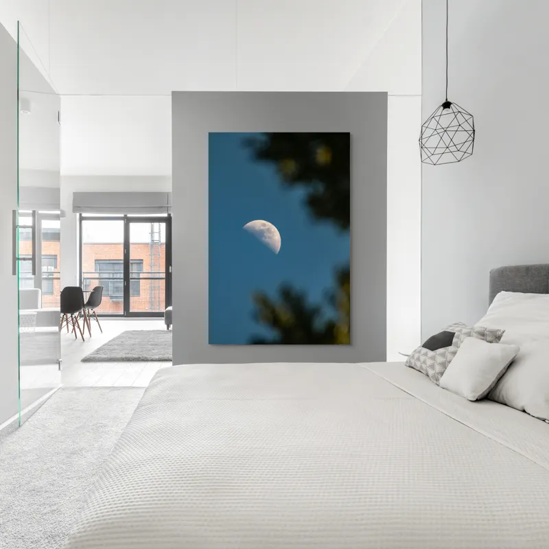 Tablou Canvas, "Luna printre ramuri întunecate", Lună, Cer, Umbre, Natură, Lumină, Seară, Mister, Calm, Frumusețe, Contrast, 100 x 150 cm – poza 5