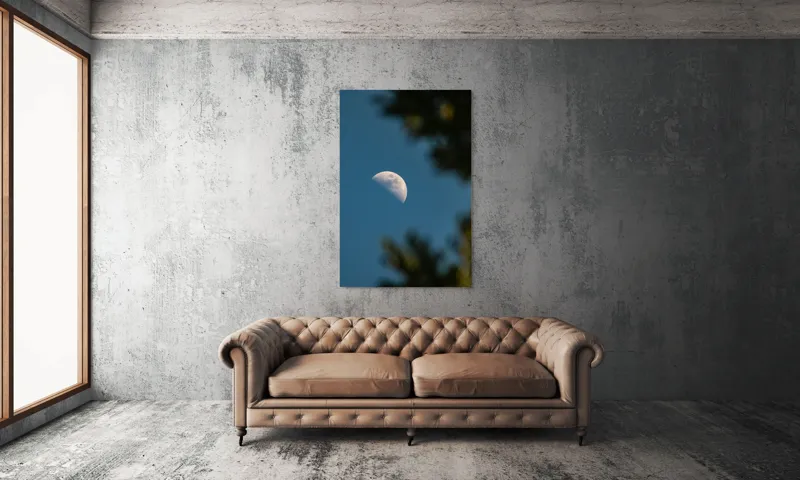 Tablou Canvas, "Luna printre ramuri întunecate", Lună, Cer, Umbre, Natură, Lumină, Seară, Mister, Calm, Frumusețe, Contrast, 100 x 150 cm – poza 6